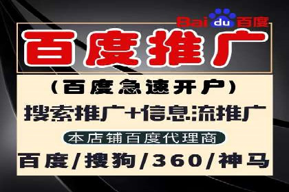 SEM推广案例：竞价代运营助力企业快速崛起